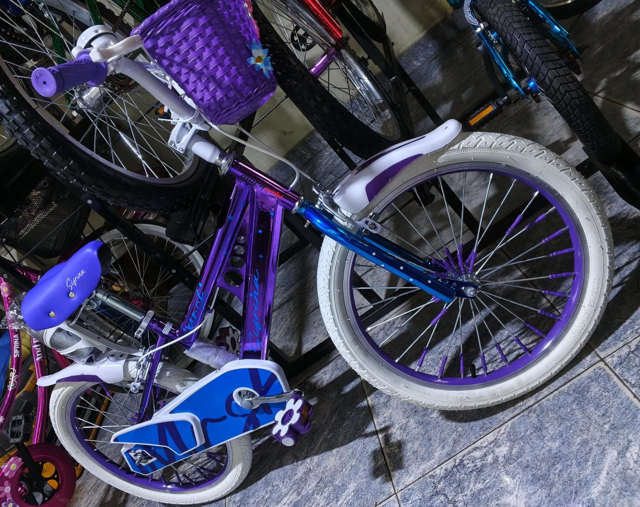 BICICLETAS ANG BIKE